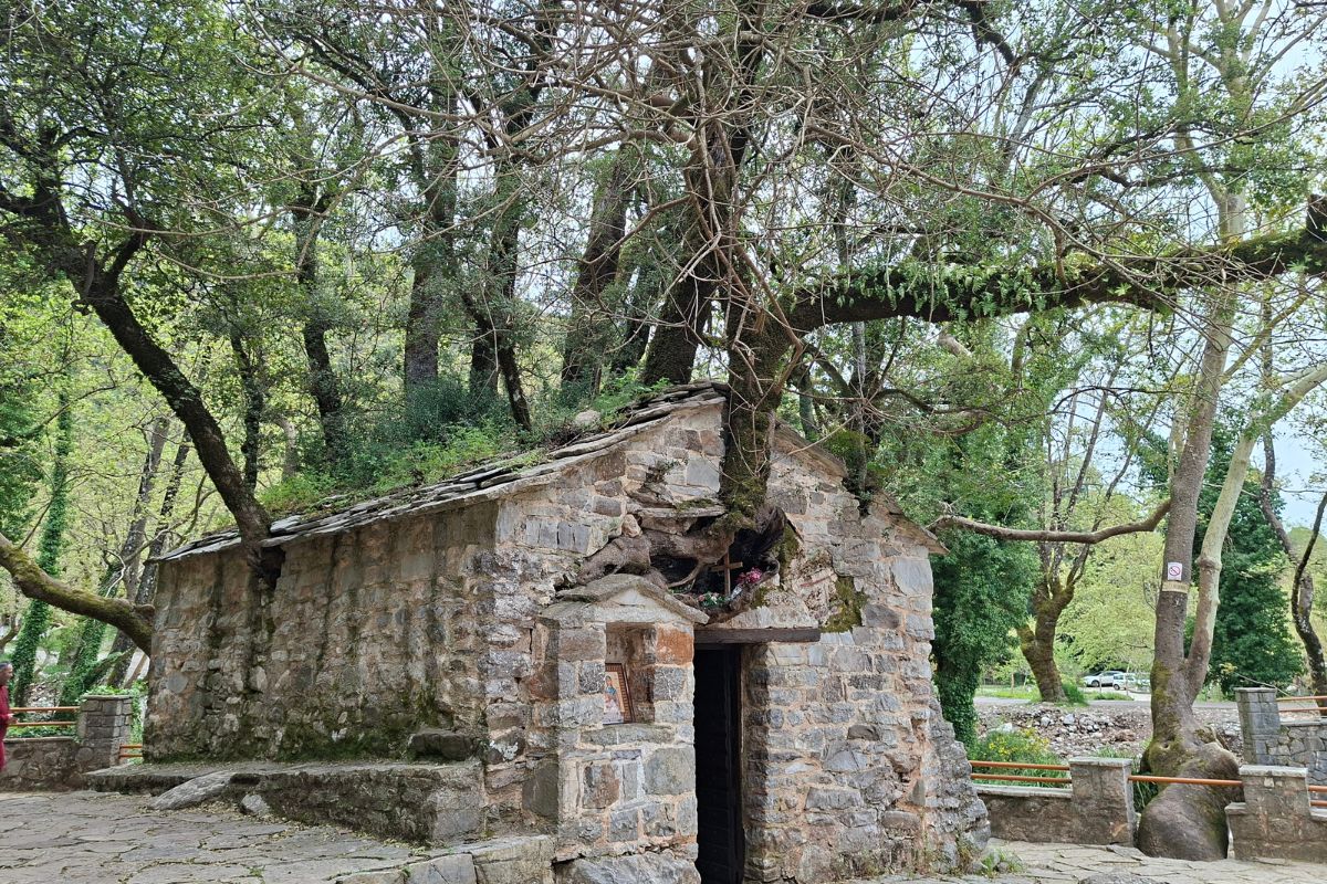 AGIA-THEODORA-ARCADIA-HOSPITALITY-NETWORK