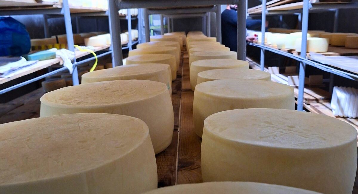 the atr of making cheese graviera arcadia