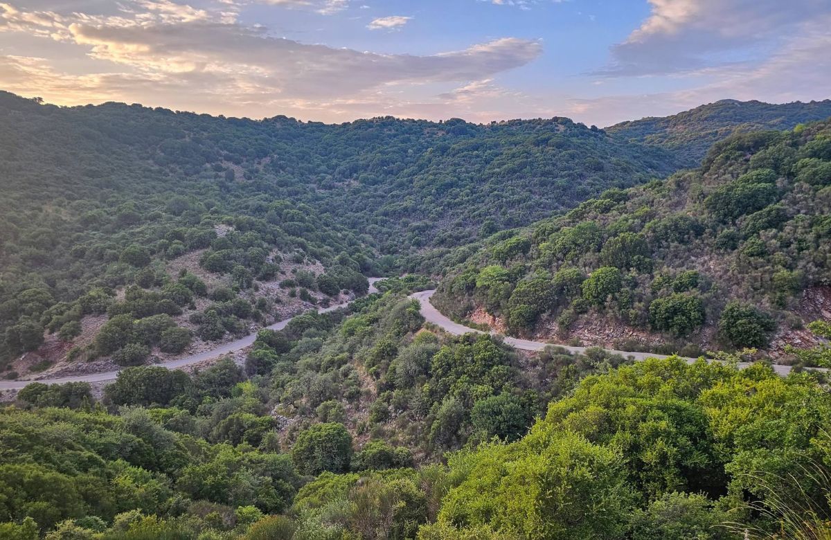 Road through Gortynia, Menalon