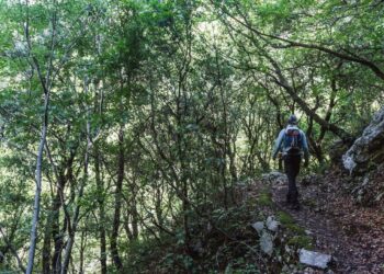 A hiker on a forest path in the mountains of Arcadia